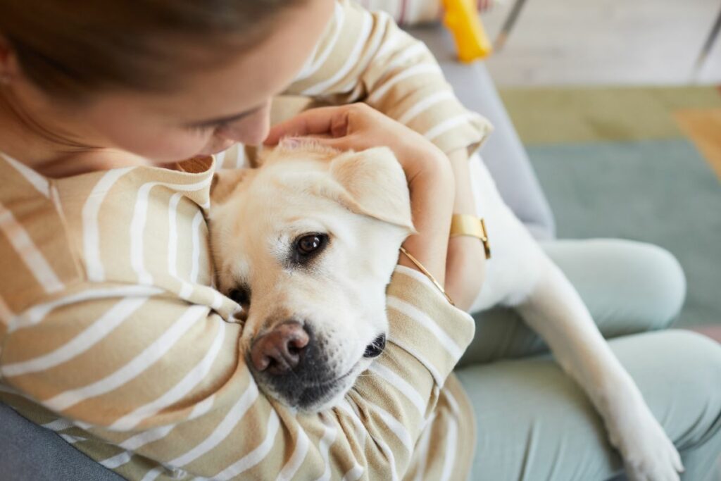 Mögliche Nebenwirkungen von Prednitab bei Hunden